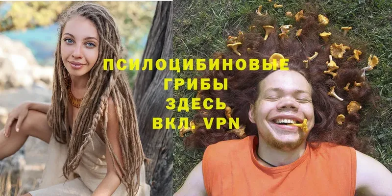 Галлюциногенные грибы MAGIC MUSHROOMS  Бирск 